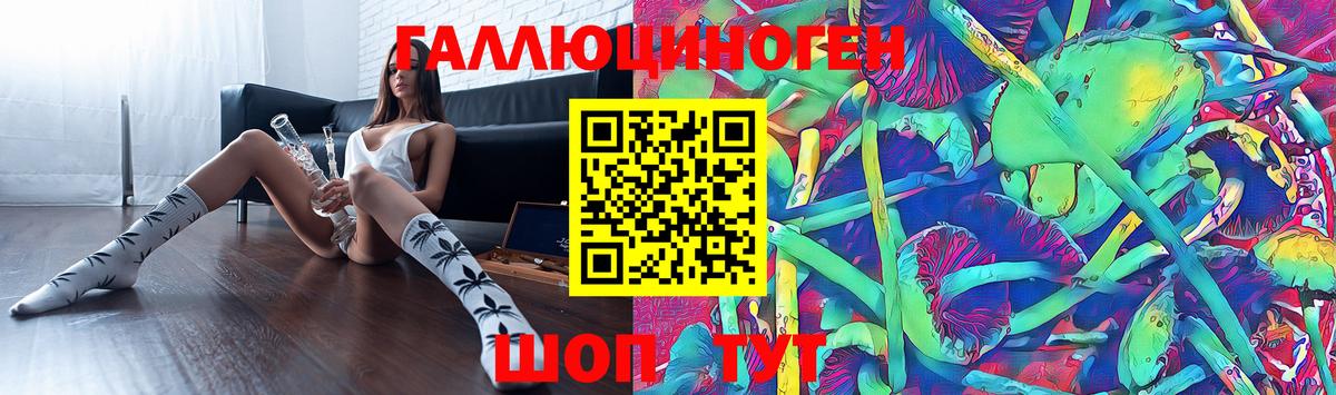 Галлюциногенные грибы прущие грибы  Псилоцибиновые грибы Psilocybe  Люберцы  Вход с VPN 