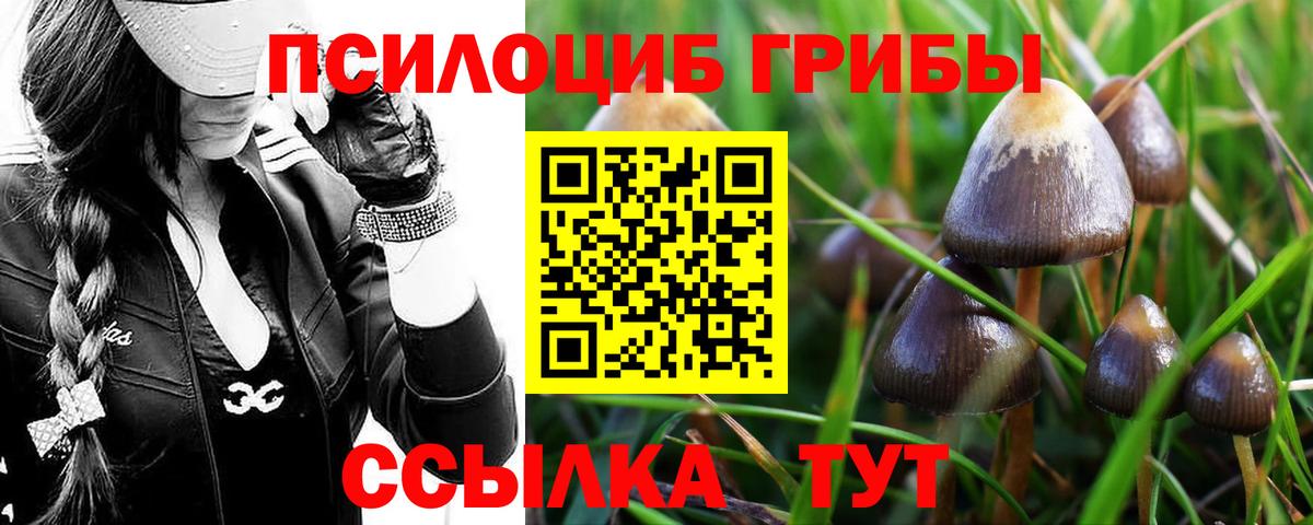 Псилоцибиновые грибы GOLDEN TEACHER Люберцы