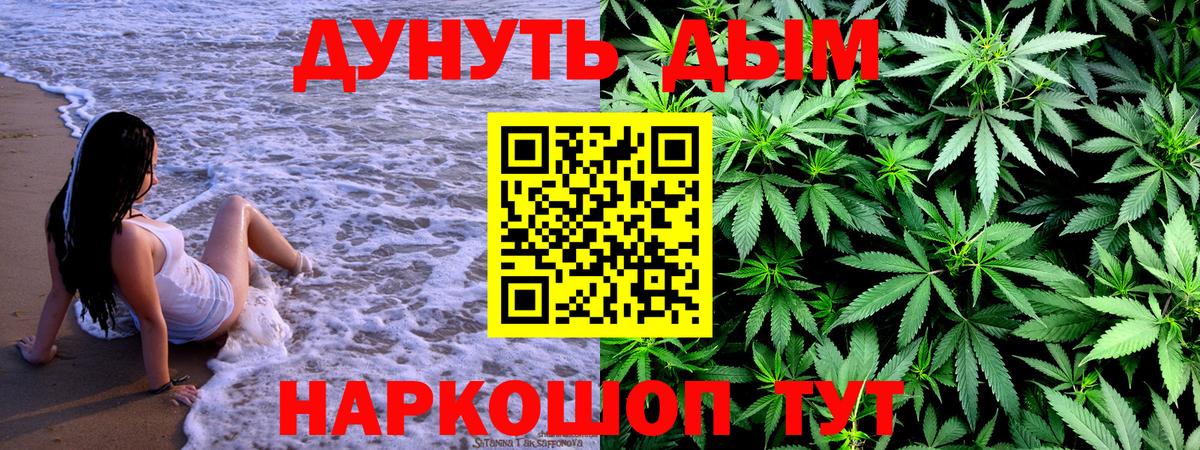 Канабис сатива Люберцы